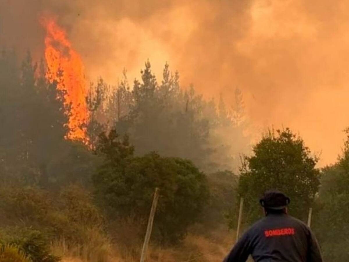 Incendios Forestales han consumido casi cuatro mil hectáreas en el país según último balance de Senapred