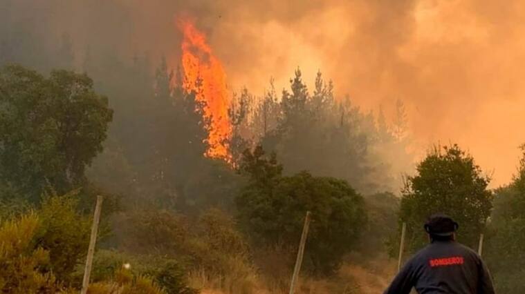 incendios forestales - capacidad de respuesta