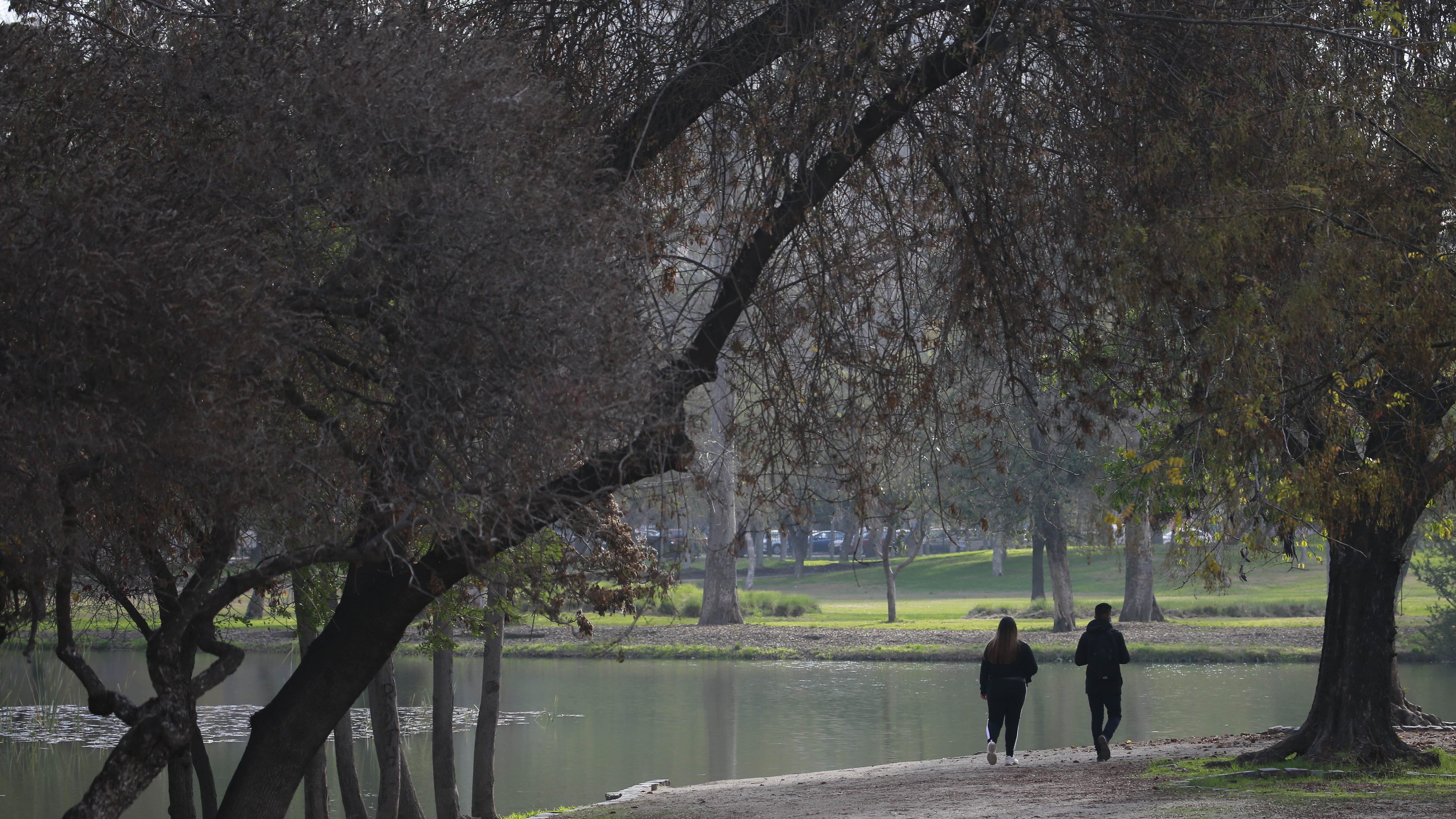 Municipalidad de Santiago cerró los parques O'Higgins y Quinta Normal por fuertes vientos