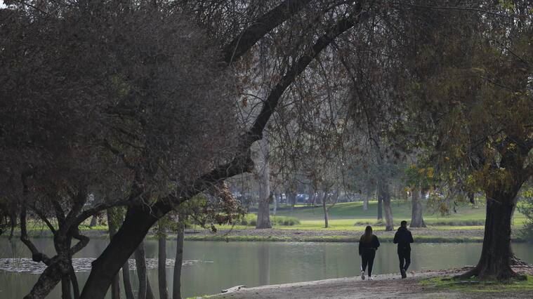 Municipalidad de Santiago cerró los parques O'Higgins y Quinta Normal por fuertes vientos