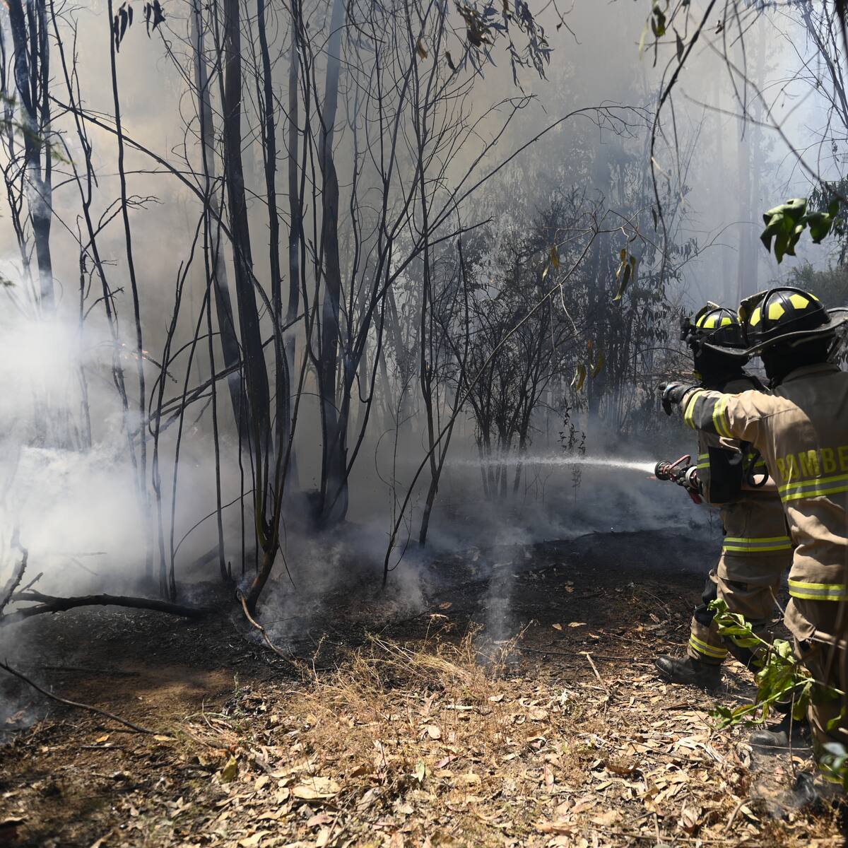 Cambia a Alerta Amarilla: cancelan Alerta Roja en Linares por incendio forestal