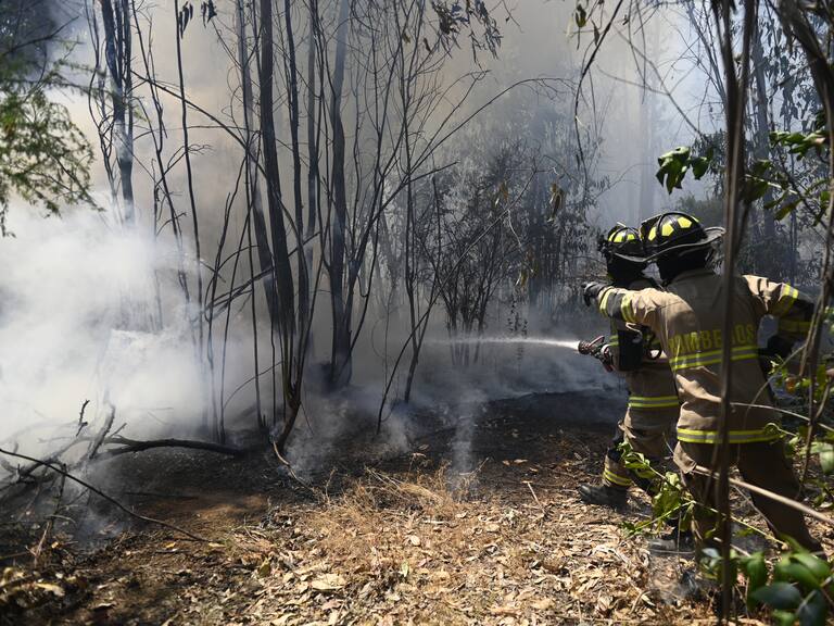 Toque de queda se reduce a seis comunas por incendios forestales en La Araucanía