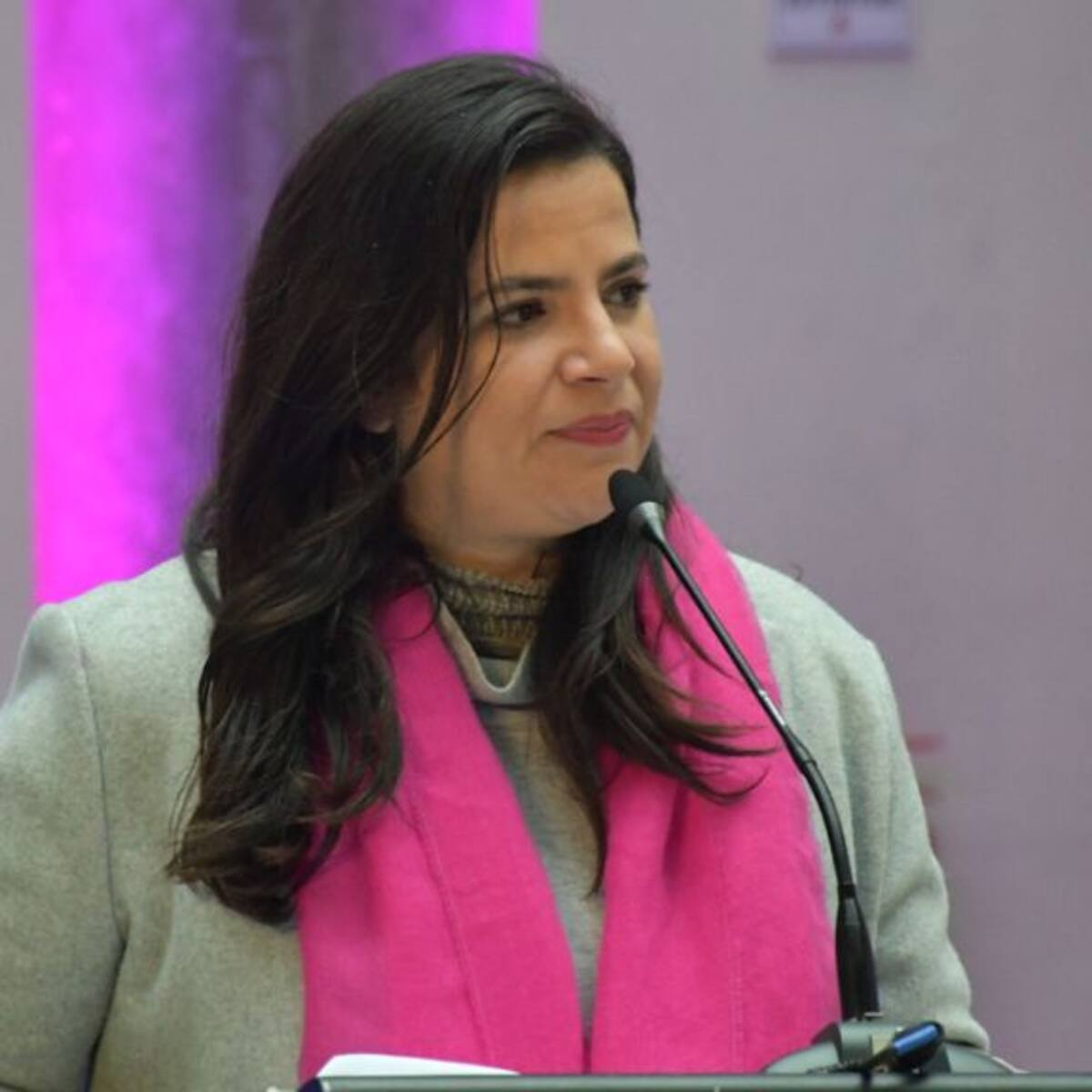 Ministra Orellana confirma que proyecto de aborto legal se presentará en diciembre: apuntan a 14 semanas de embarazo como plazo límite