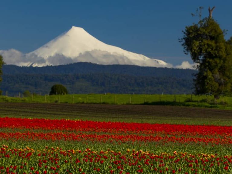 Avalancha en el Volcán Puntiagudo deja dos turistas fallecidos