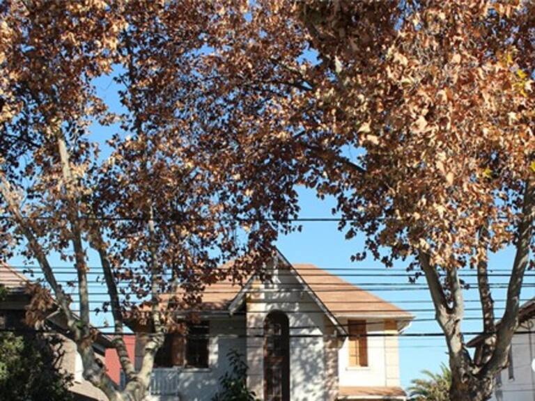 Barrio Suárez Mujica en Ñuñoa fue declarada zona típica por el Consejo de Monumentos Nacionales