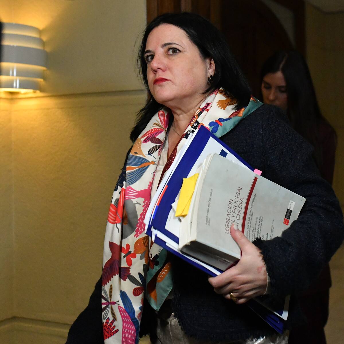 Steinert asistirá este lunes a la comisión investigadora de la Cámara de Diputados por informe de Contraloría