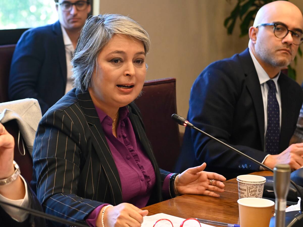 Reforma previsional: mesa técnica critica idea de “préstamo” al Estado para aumentar pensiones
