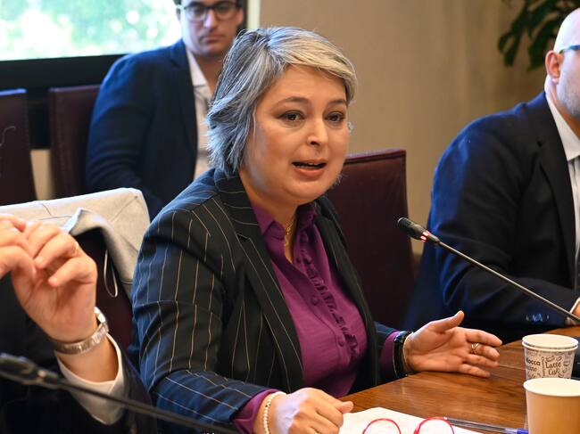 Reforma previsional: mesa técnica critica idea de “préstamo” al Estado para aumentar pensiones