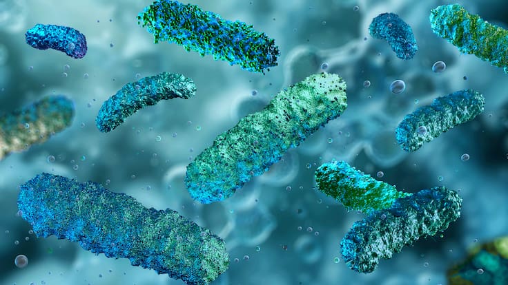 Alemania confirma dos muertes por bacteria “come carne”: el calor estaría detrás del aumento de casos