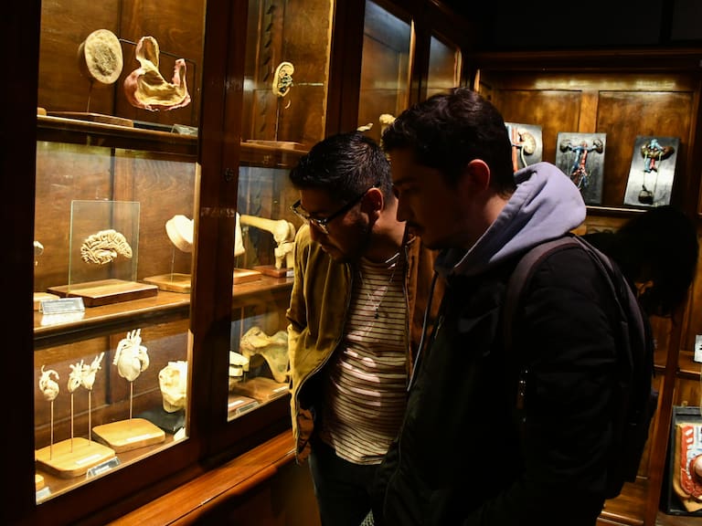 Con sueldos que superan los $2.5 millones: Ministerio de las Culturas ofrece puestos de trabajo en distintas regiones de Chile