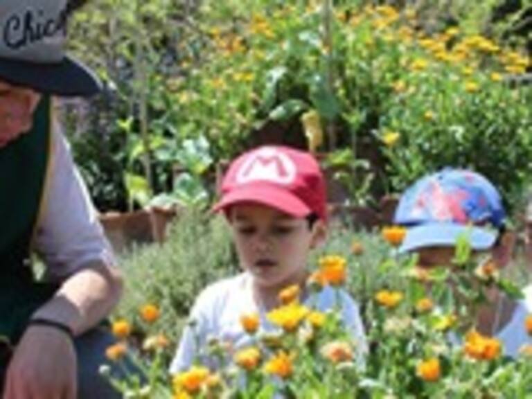 Escuela Agroecológica de Pirque: “Nos asombra que el ministerio no nos tome como modelo»