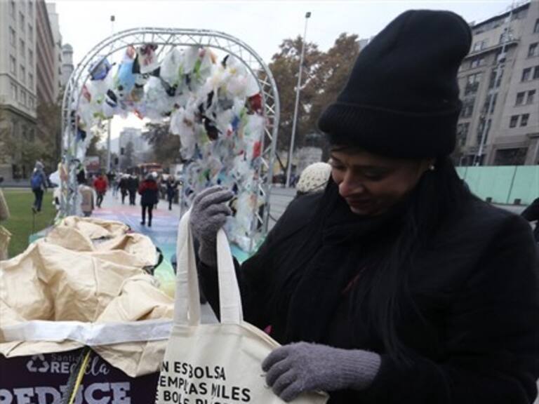 Comienza a regir la restricción a la entrega de las bolsas plásticas en el comercio nacional