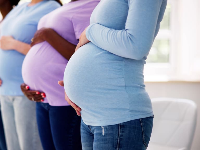 Pregnant Woman Group In Row. Young Mothers