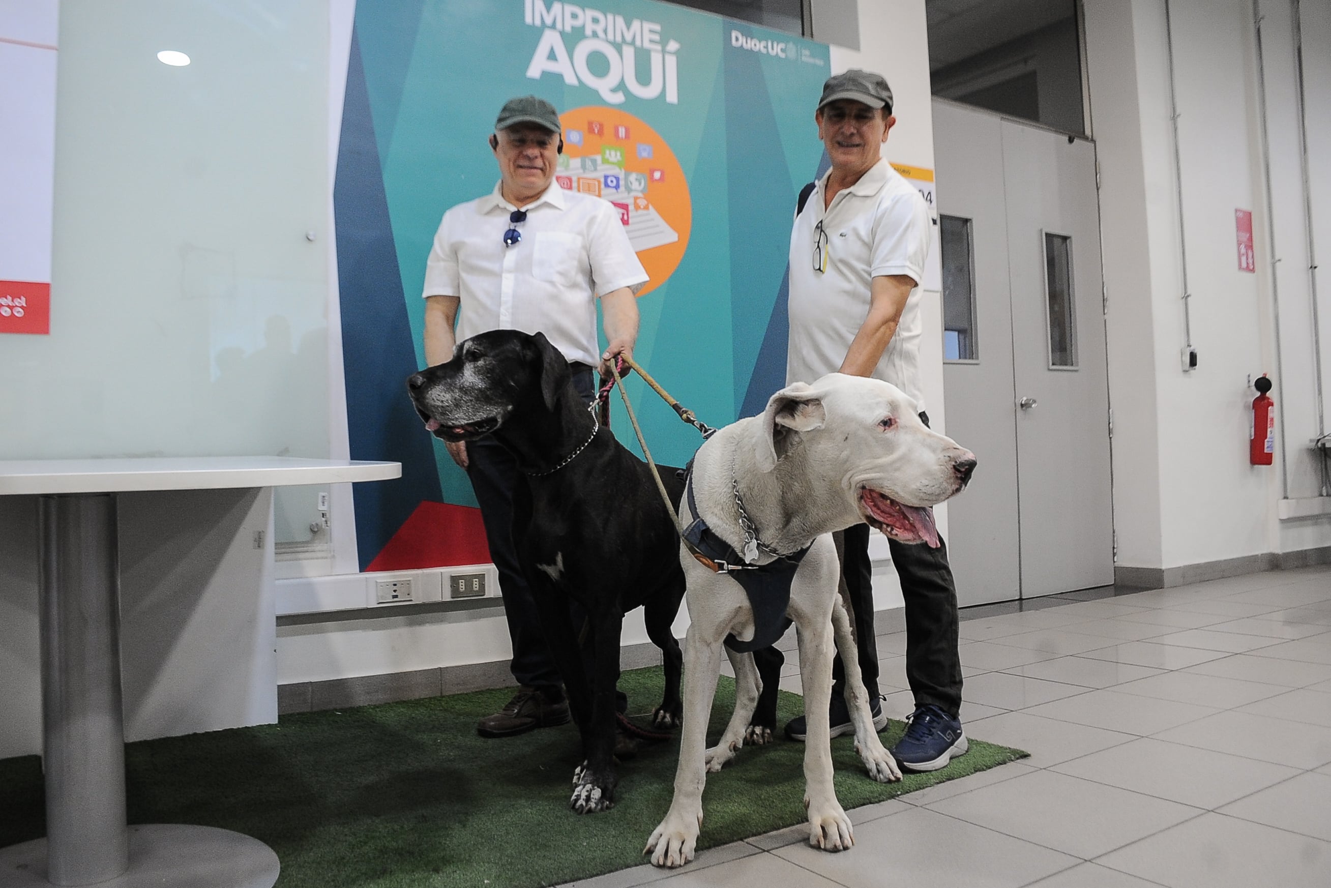 16 DE NOVIEMBRE DEL 2025 / SANTIAGO Votantes llegan con sus mascotas al Duoc UC de Antonio Varas, en la comuna de Providencia, para participar en las elecciones presidenciales y parlamentarias de 2025.FOTO: VICTOR HUENANTE  / AGENCIAUNO