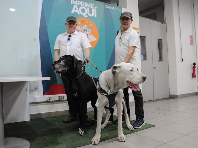 16 DE NOVIEMBRE DEL 2025 / SANTIAGO
Votantes llegan con sus mascotas al Duoc UC de Antonio Varas, en la comuna de Providencia, para participar en las elecciones presidenciales y parlamentarias de 2025.
FOTO: VICTOR HUENANTE / AGENCIAUNO