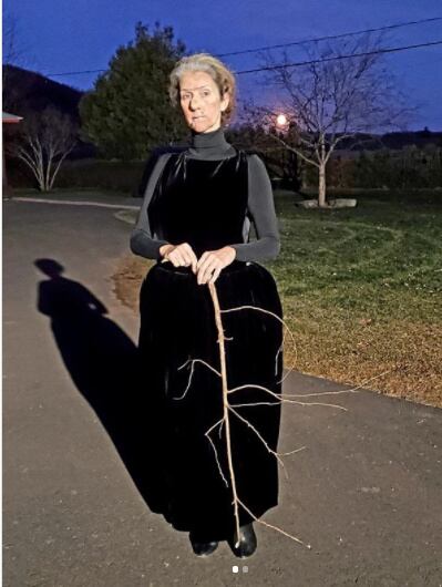 Celine Dion