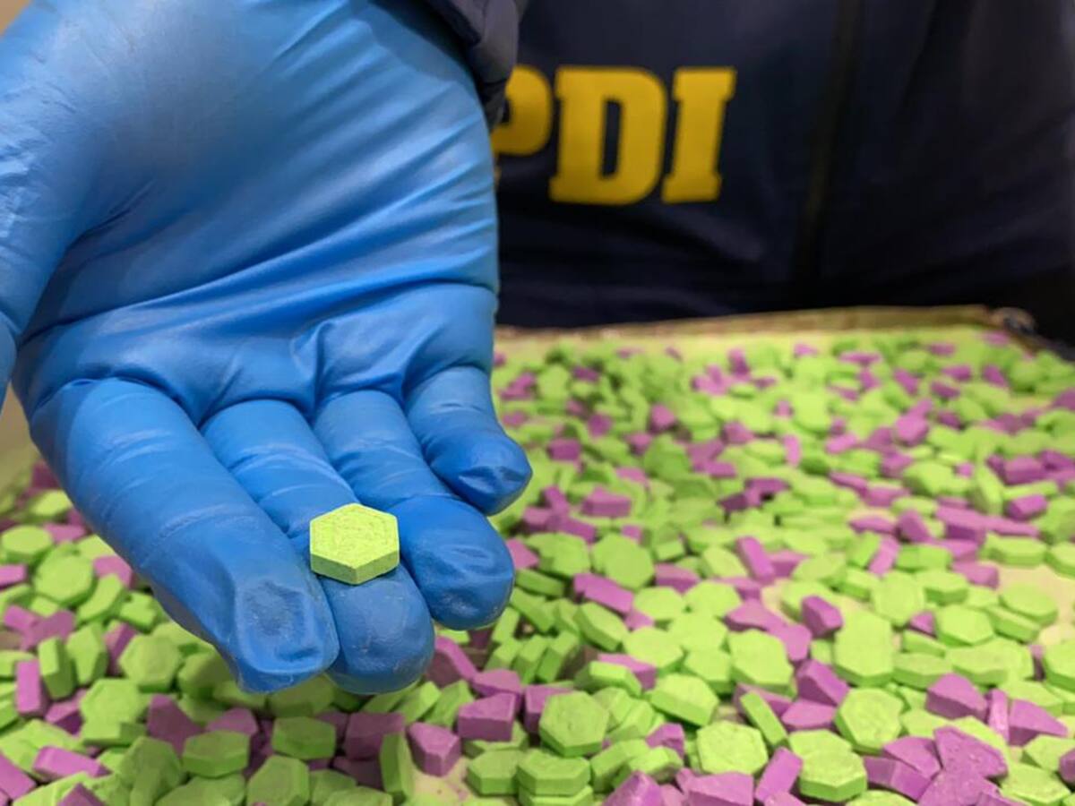 Operativo antidrogas de la PDI incautó gran cantidad de armas y sustancias en Recoleta