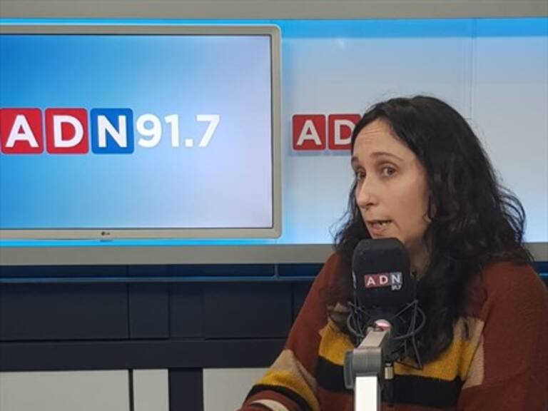 Coordinadora de la Red de Pobreza Energética: «En Chile estamos acostumbrados a pasar frío»