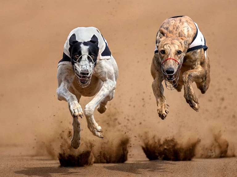 Referencial. Getty Images