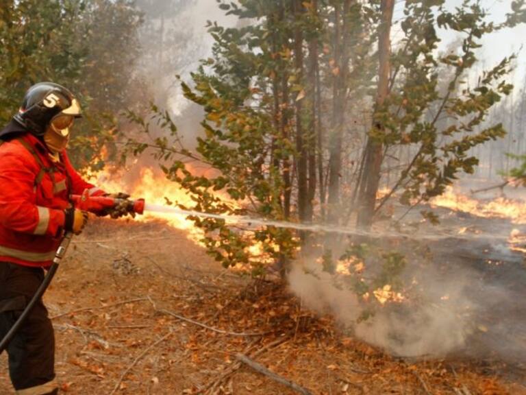 Alerta Roja para toda la región del Ñuble por incendios forestales
