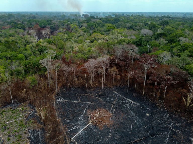 Vista aérea de la deforestación del Amazonas en Brasil