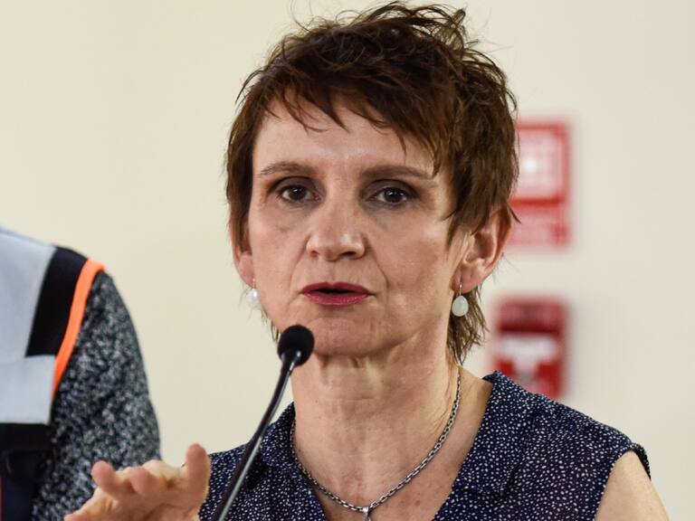 «No cumple con las características»: Gobierno descarta establecer royalty a empresas forestales