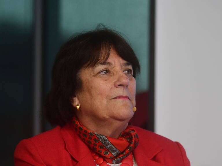 Quién es Adriana Delpiano, la nueva ministra de Defensa tras la renuncia de Maya Fernández