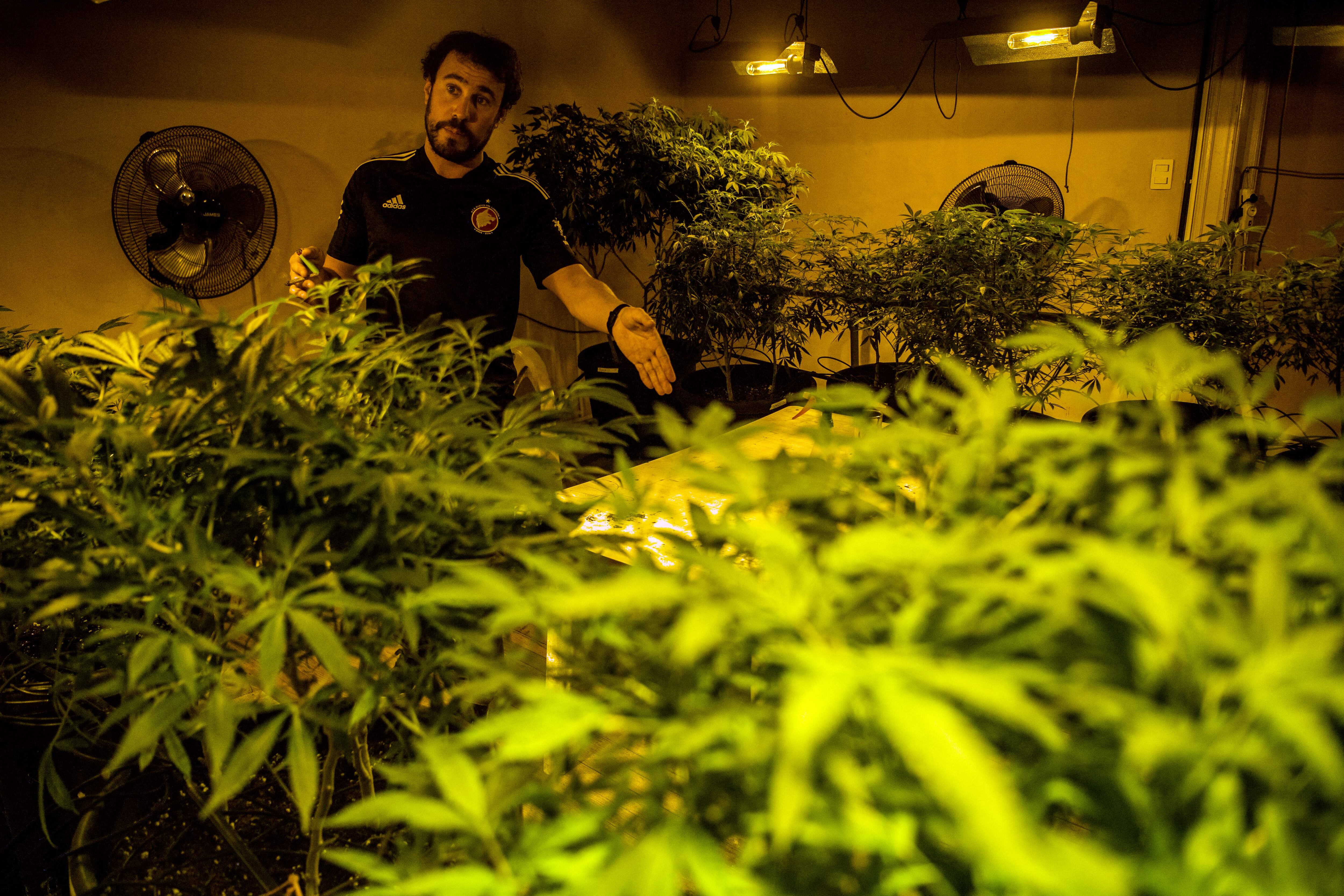 Club de cannabis, Montevideo, 18 de agosto de 2022.  Getty Images