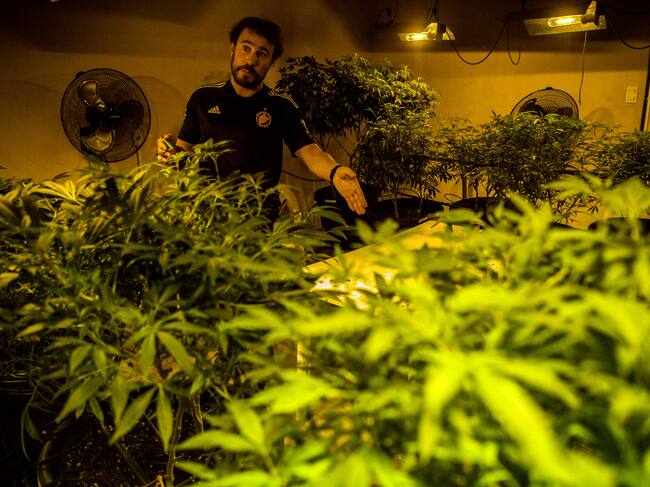 Club de cannabis, Montevideo, 18 de agosto de 2022. Getty Images