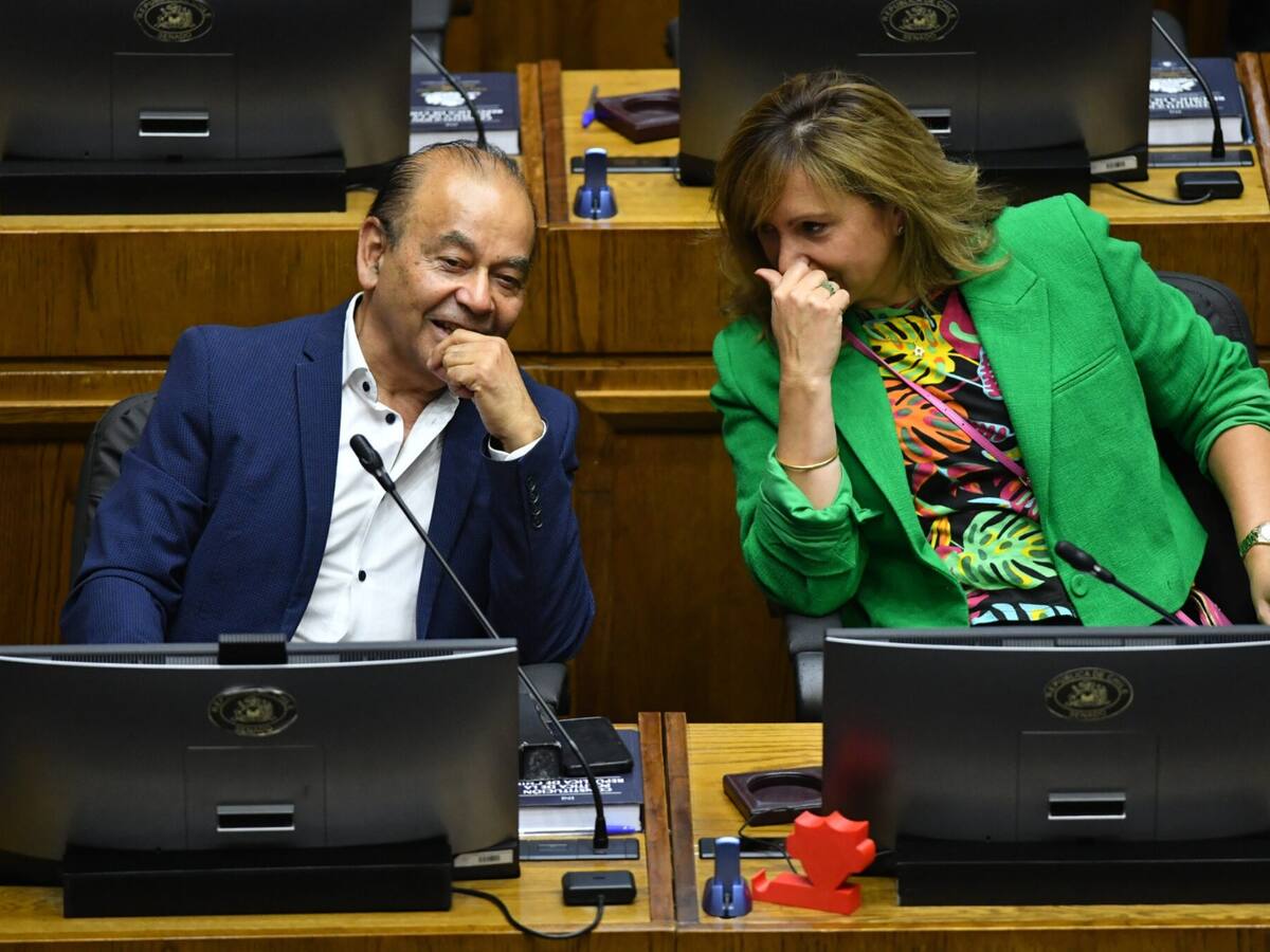 Senadores del PPD tildan al gobierno de “dogmático, incapaz de construir acuerdos serios, y que actúa de mala fe”