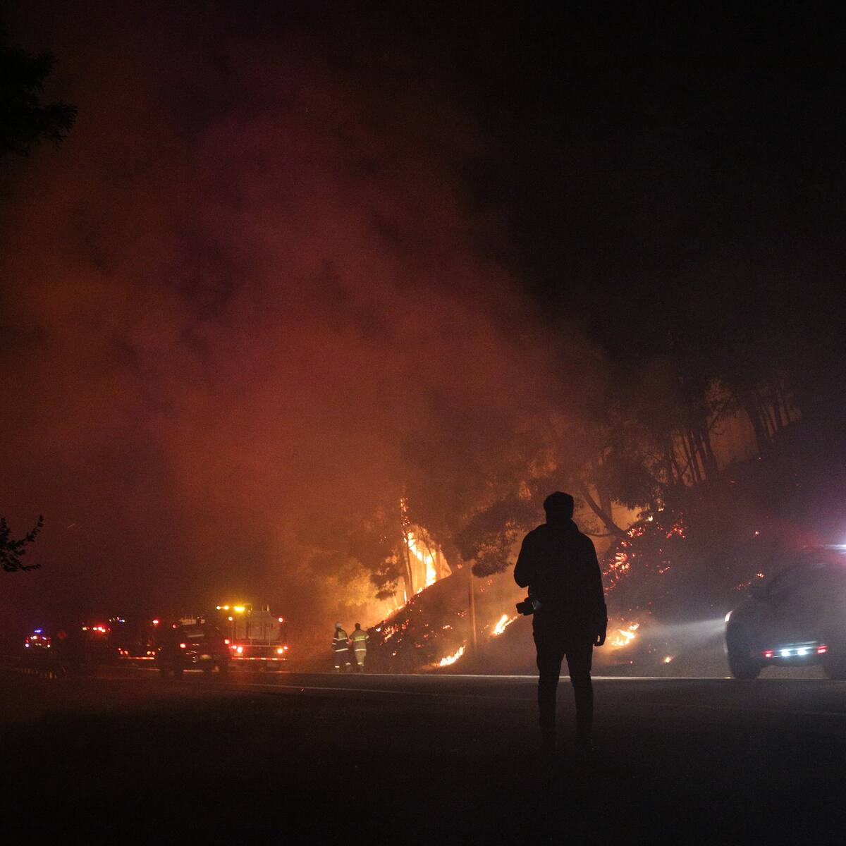 Por incendios forestales: decretan alerta roja en tres comunas de La Araucanía