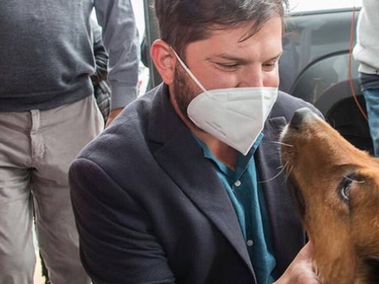 Brownie movió feliz su cola: Perrito presidencial tuvo esperado reencuentro con Gabriel Boric