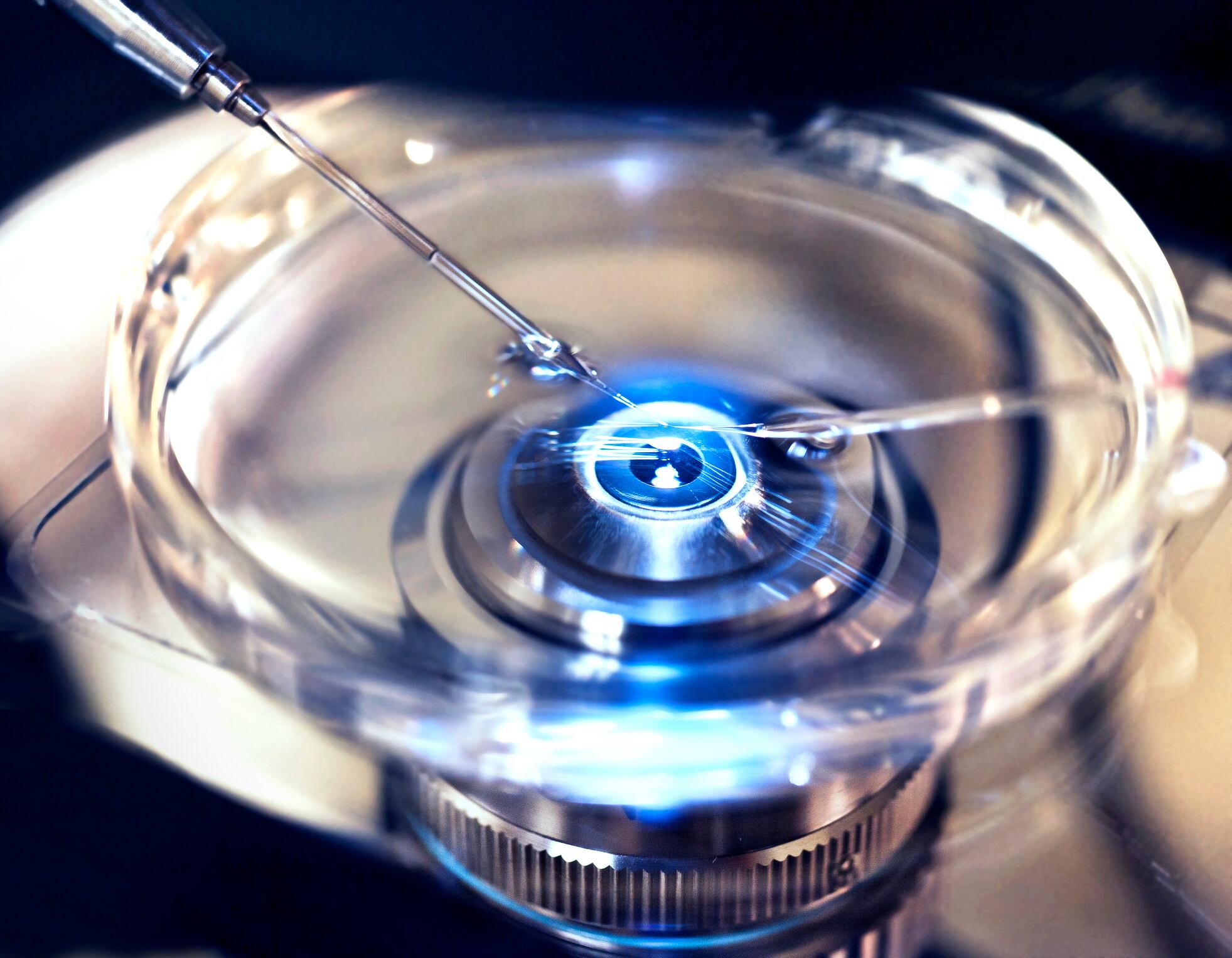 Medicina reproductiva en Chile: cuáles son los últimos avances y de qué se tratan