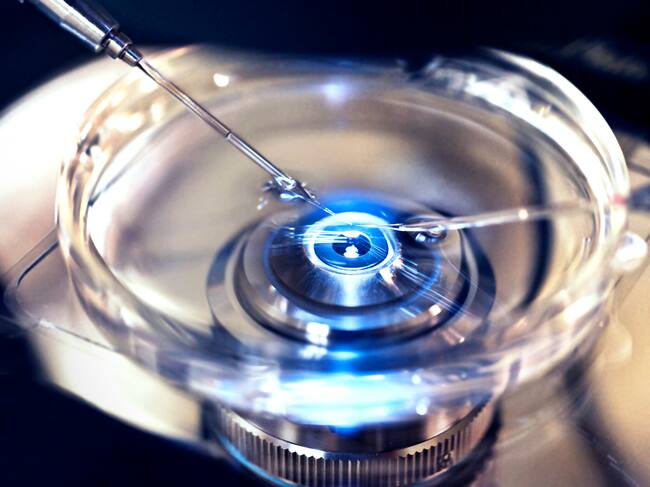 Medicina reproductiva en Chile: cuáles son los últimos avances y de qué se tratan
