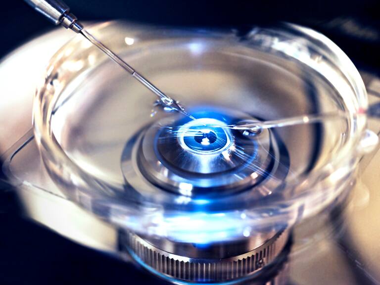 Medicina reproductiva en Chile: cuáles son los últimos avances y de qué se tratan