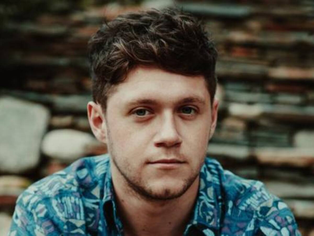 Niall Horan, ex-One Direction, tuvo un accidente de «caricatura» por estar borracho