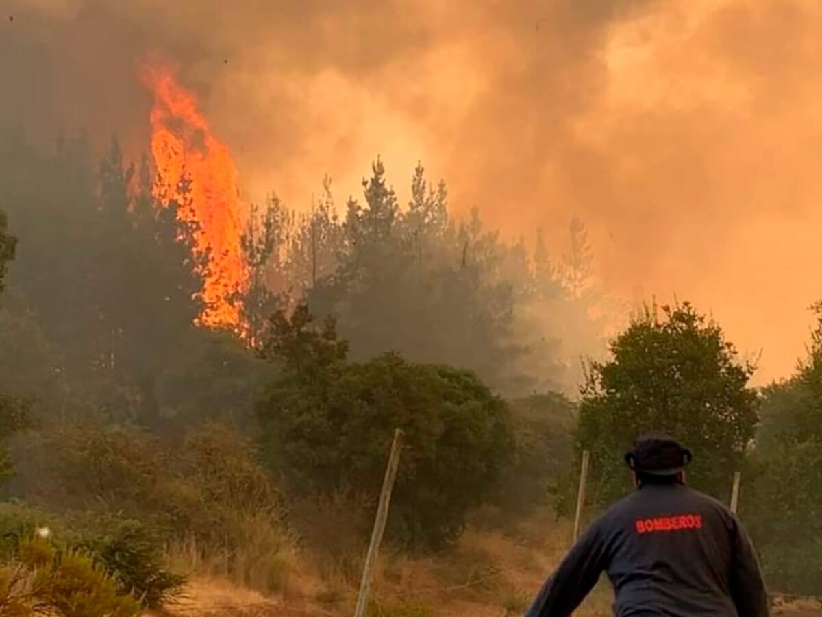 Incendios forestales en Chile: Senapred informó 178 incendios activos, de los cuales 39 se mantienen en combate