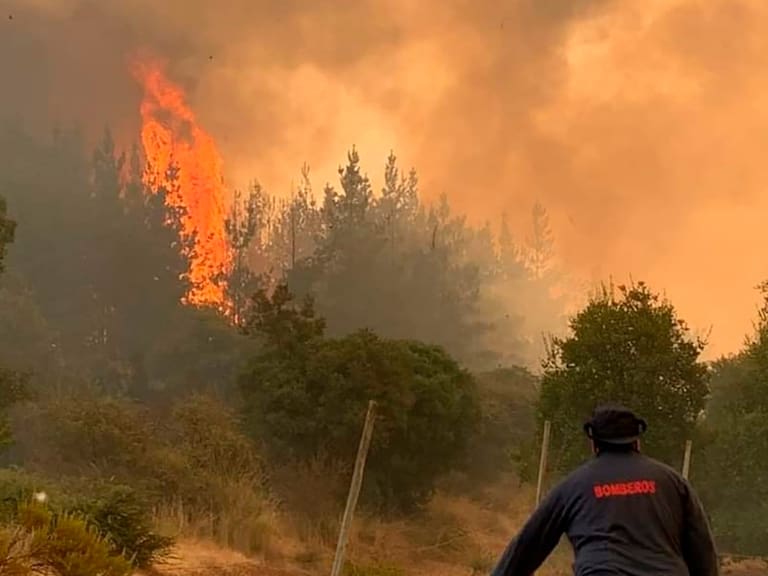 Incendios forestales en Chile: Senapred informó 178 incendios activos, de los cuales 39 se mantienen en combate