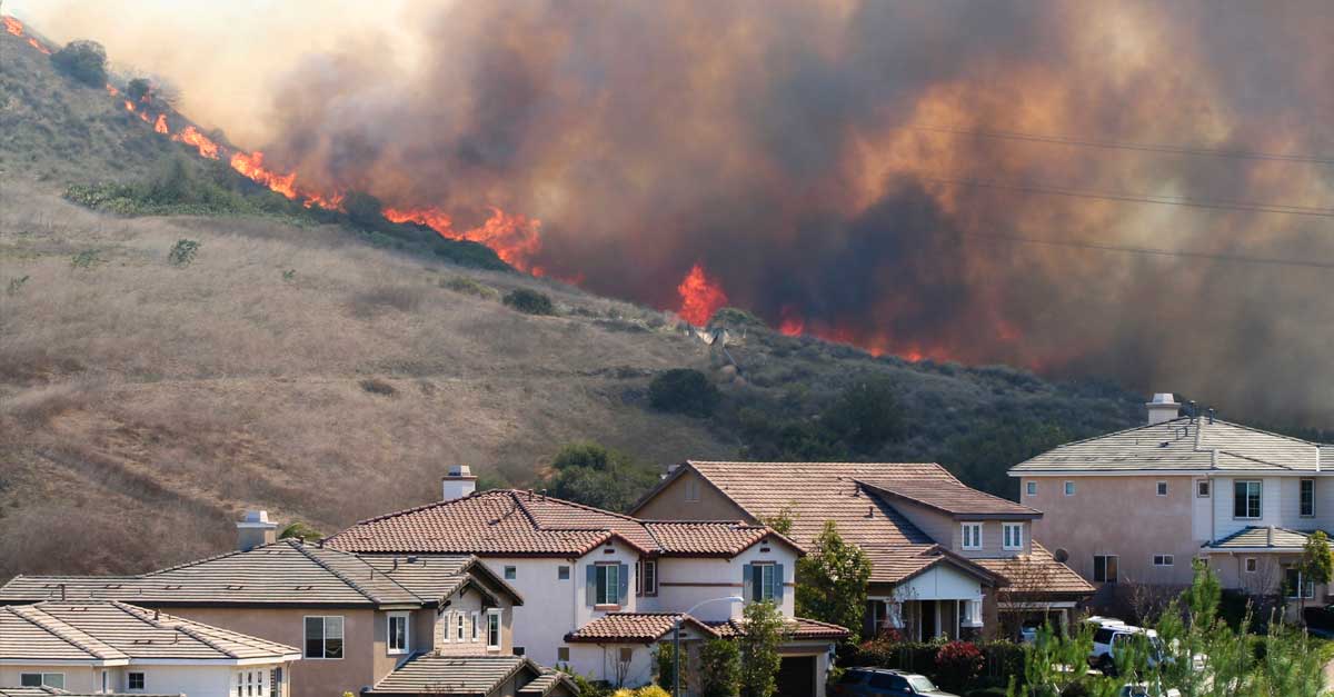 Incendios forestales generan masivas evacuaciones en EEUU