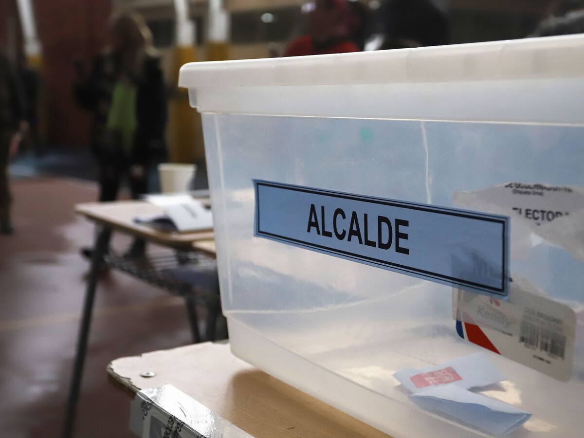 Elecciones primarias 2024: cuál fue el partido que más ganó en la jornada, según los resultados del Servel