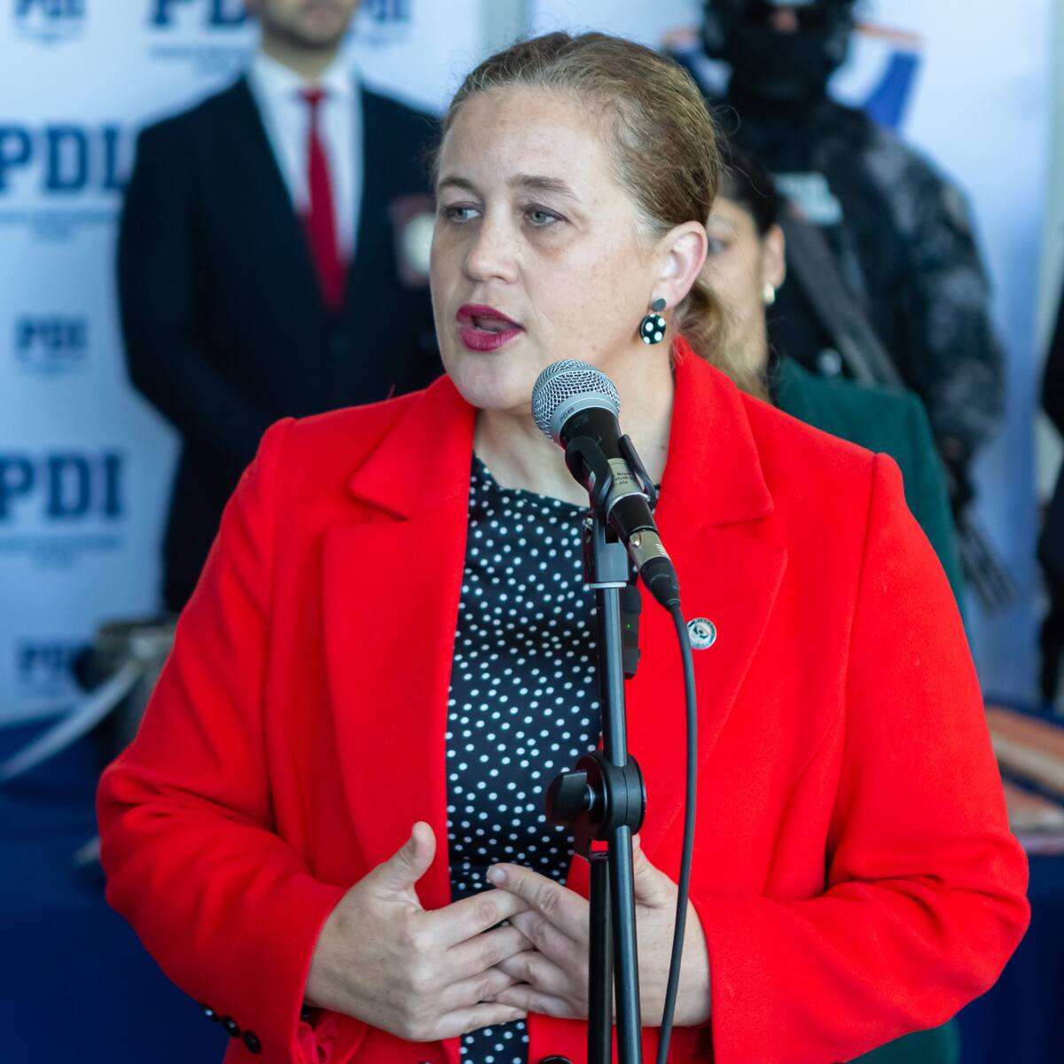 Fiscal Wittwer defendió detención de Ángela Vivanco y descartó “show mediático”: “Era absolutamente necesario”