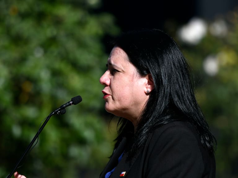 “Se intenta crear una historia paralela”: Steinert responde a polémica por Consuelo Peña y acusa “trato vejatorio”