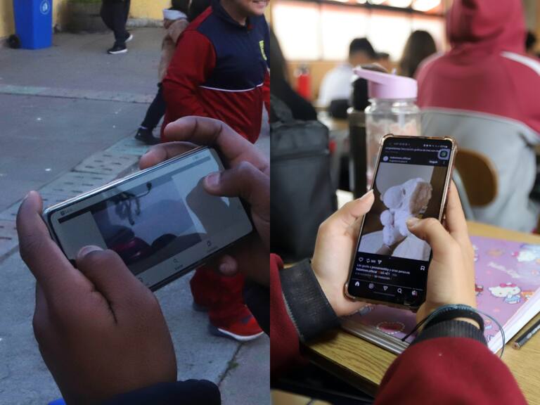 Inicio del año escolar 2026: así es la ley que prohíbe el uso de celulares en colegios y estas son las excepciones