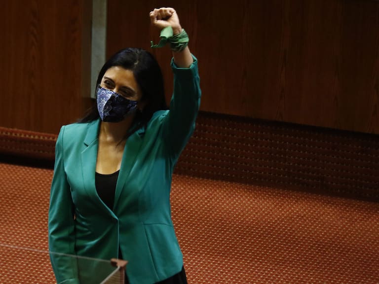 Marcela Sandoval asumió como diputada y reemplazará a Renato Garín en el Congreso Nacional