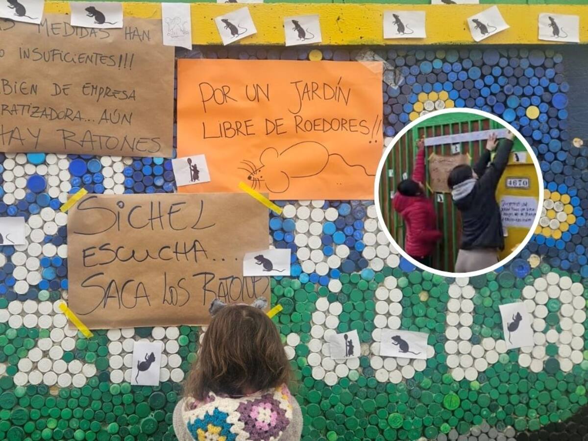Jardín infantil de Ñuñoa cumple 21 días con clases interrumpidas por presencia de ratones: apoderados exigen soluciones