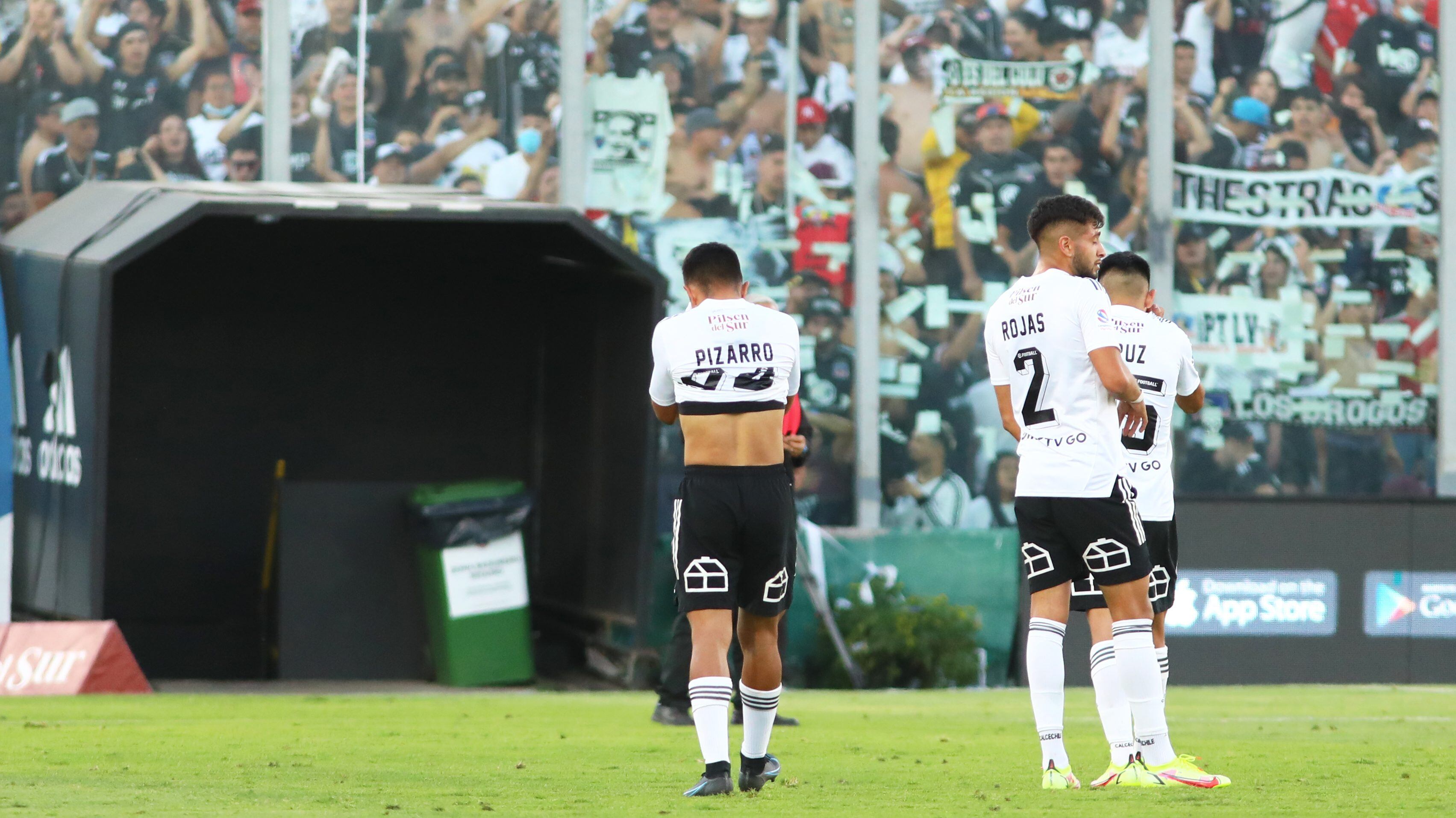 Colo Colo covid 19