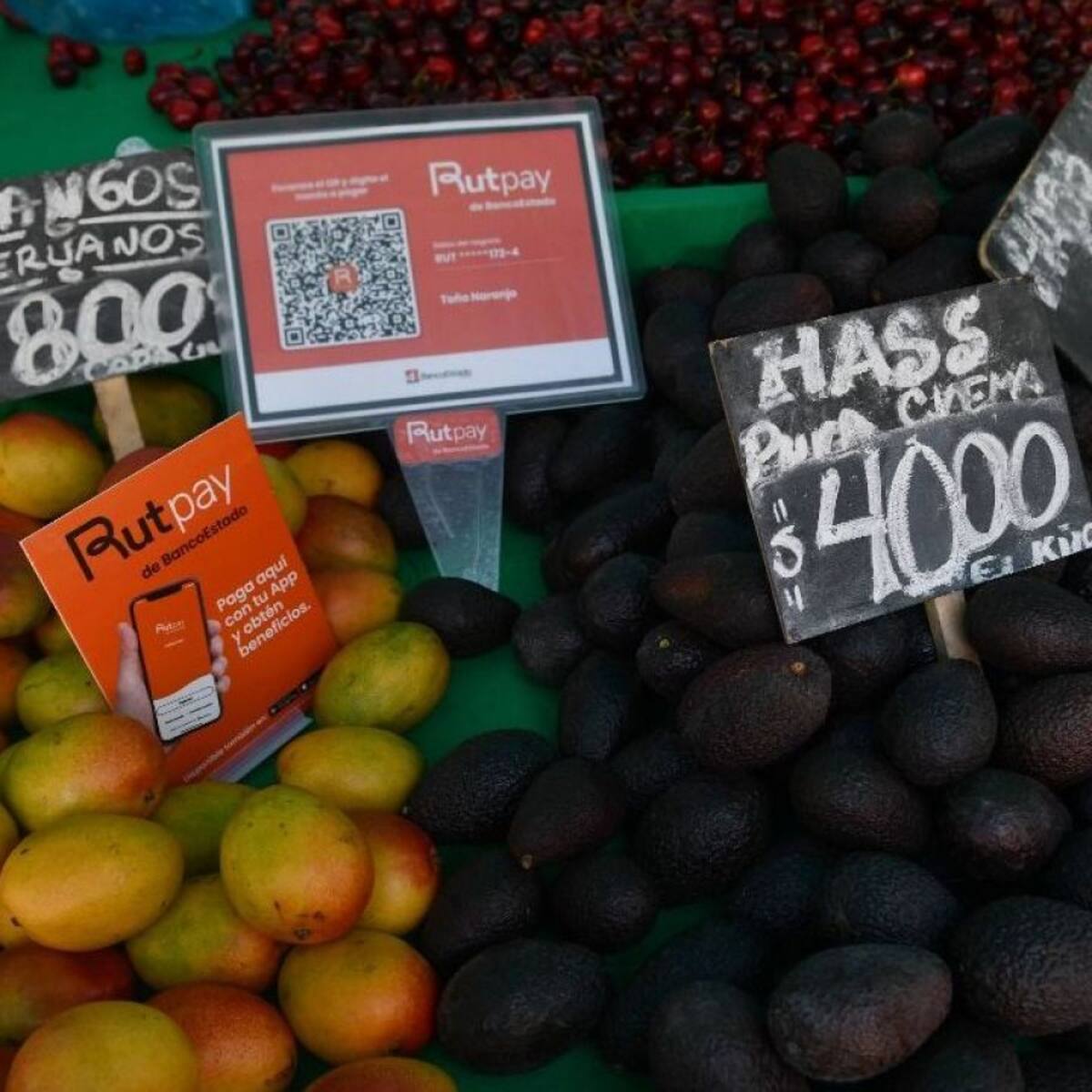Ahora comprar en la feria te da puntos: así funciona “QR Ferias” con Rutpay y Full Copec