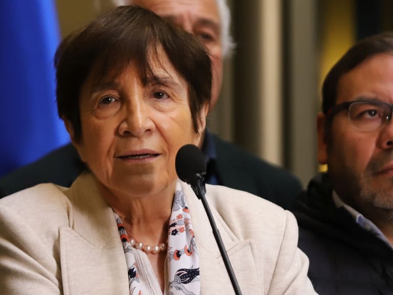 Agencia Uno | Vicepresidenta de la Cámara de Diputadas y Diputados, Carmen Hertz