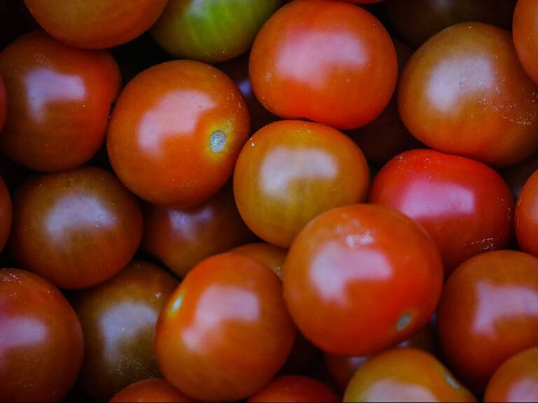 IPC y alza en precio de alimentos: Ministra de Agricultura llamó a cotizar y consumir productos de temporada
