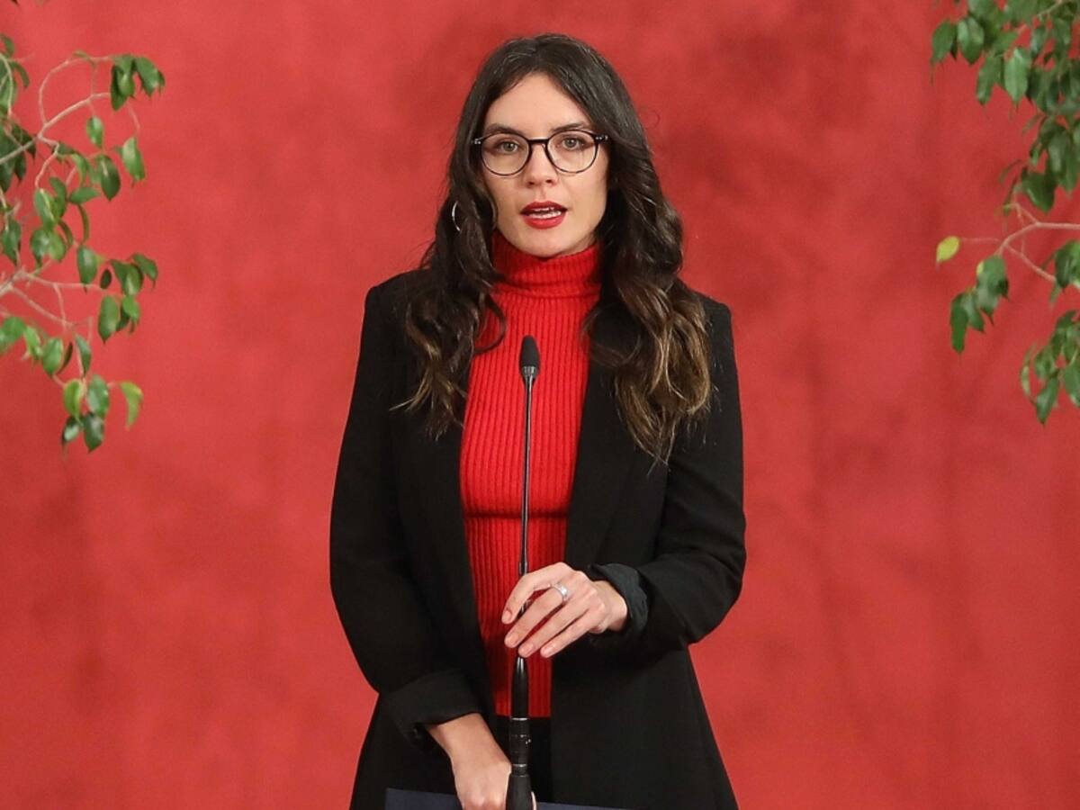 Ministra Vallejo afirma que solicitarán informes a Carabineros tras investigación a director de Dipolcar Luigi Lopresti
